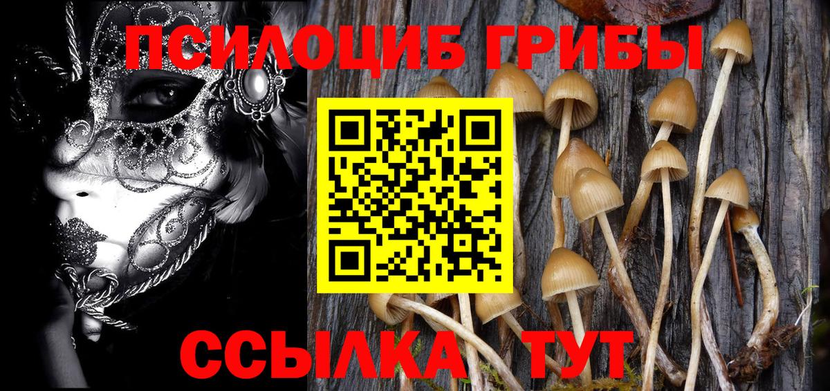 Галлюциногенные грибы мухоморы  сколько стоит  Будённовск  Вход с VPN  Псилоцибиновые грибы Psilocybe 